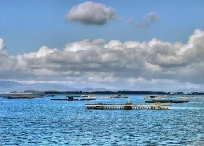 阿贝拉斯酒店 4*